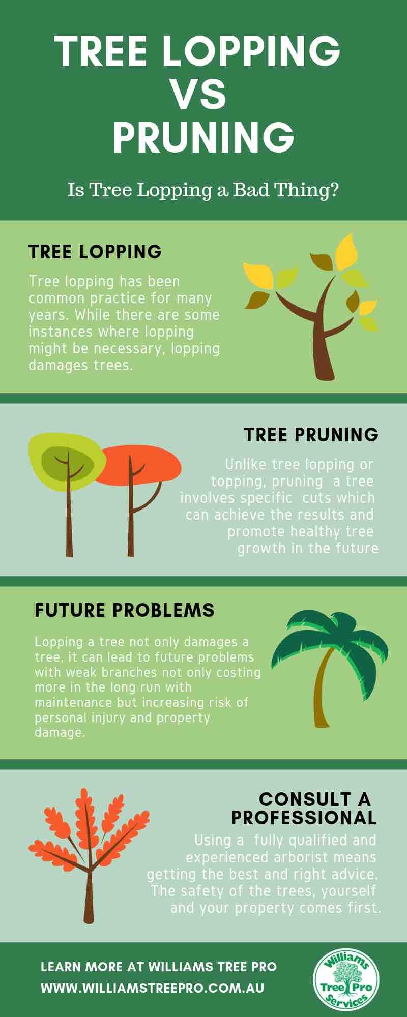 The Benefits of Tree Lopping